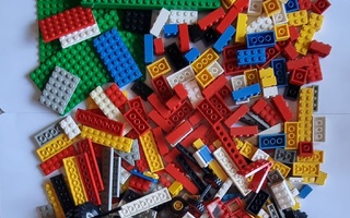LEGO -palikoita  660g