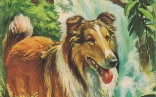 LASSIE 1973 7