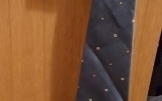 Uusi sininen solmio