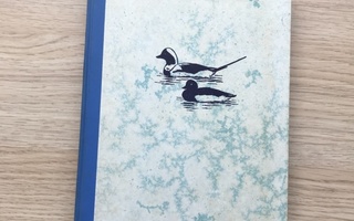 Yrjö Kokko: Alli jäänreunan lintu 1.p. 1966