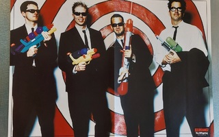 The Offspring / Machine Head - Flynn  - posteri