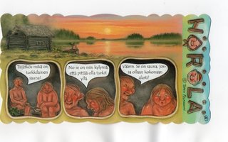 "TIIJÄTKÖS MIKÄ ON TURKKILAINEN SAUNA?...." -KORTTI /Hörölä