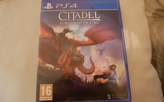 Ps4: Citadel: Forged with Fire