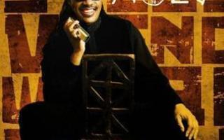 Stevie Wonder - A Time To Love CD