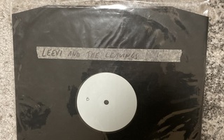 Leevi and the Leavings - Menestyksen salaisuus LP koelevy