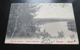 NÄKÖALA PUNKAHARJULTA 1903 KULKENUT KORTTI