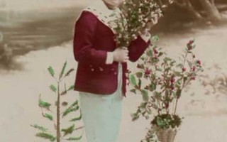 LAPSI / Poika, kelkka ja mistelin oksia. 1910-l.