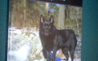 SCHIPPERKE (Suomen suosituimmat koirarodut)  Sis.postikulut