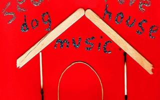 SEASICK STEVE - DOG HOUSE MUSIC