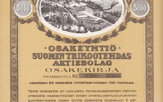 OKK 1946 Suomen Trikootehdas Oy, Tampere pörssi