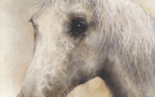 Giordano:  Valkoinen hevonen