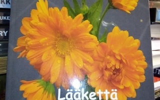 Päivi Rämö :  Lääkettä lievään alakuloon ( SIGNED)