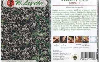 Kiinanneilikka "Chianti" - siemenet