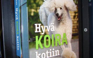 Romppainen : Hyvä koira kotiin ( 2010 ) sis. postikulun