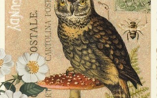 Pöllö kärpässienen päällä (Tausendschön-kortti)