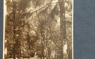 Notsjö gård 1918, 3 kuvaa, 16,5 x 11,5 cm
