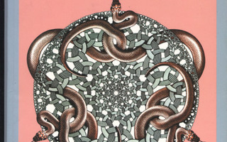 Bruno Ernst: M. C. Escherin Taikapeili