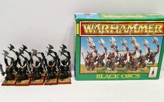 Warhammer Fantasy - 10kpl Black Orcs