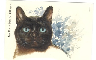 Posliinisiirtokuva Tumma kissa