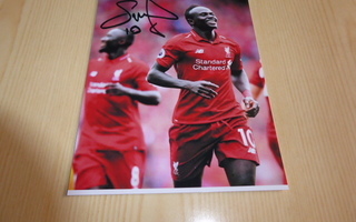 Sadio Mane Liverpool FC valokuva koko 11 cm x 15 cm