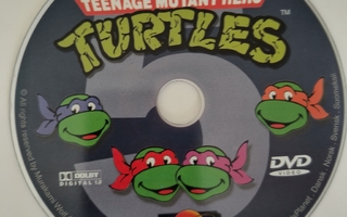 TEENAGE MUTANT HERO TURTLES (DVD)