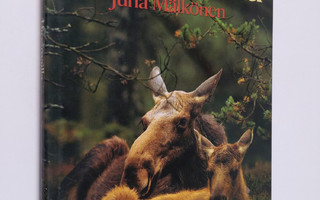 Juha Mälkönen : Hirvimailla
