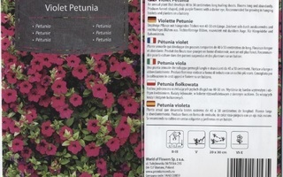 Petunia Violetti  - siemenet