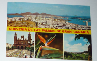 Souvenir de las palmas de gran Canaria -kulkenut