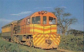 Juna Diesel electric locomotive DE 975   p100