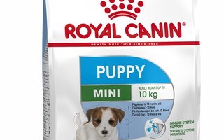 Royal Canin SHN Mini Puppy - pentujen kuivaruoka