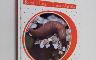 Kirsi Hutri Mattila : Kotilo- ja simpukkaharrastajan opas