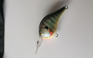Rapala Dives To 6 FT