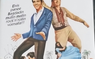 DVD: Elvis ja 1001 yötä ja päivää / Harum Scarum