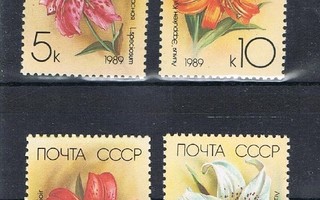 CCCP 1989 - Kukkia liljoja  ++