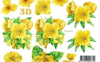 3D "°KAUNIIT KELTAISET KESÄKUKAT°" /Le Suh