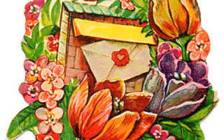 WS / Postilaatikko, värikkäät tulppaanit, esikot. 1950-60-l.