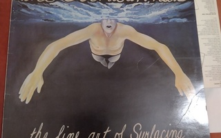 The Boomtown Rats – The Fine Art Of Surfacing -79 LP
