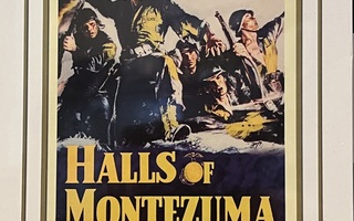 Halls of Montezuma (Lewis Milestone) UUSI DVD Suomit