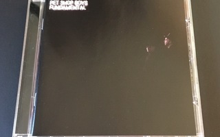 Pet Shop Boys - Fundamental CD