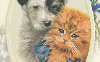 Kissa ja koira, nostalginen kuva