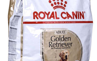 Royal Canin BHN Golden Retriever - kuivaruoka ai