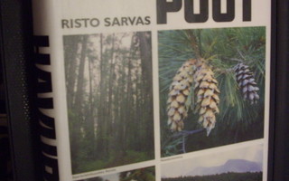 Risto Sarvas : Havupuut  ( 2 p. 2002 ) Sis. postikulut