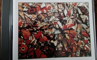 The Stone Roses - Garage Flower CD