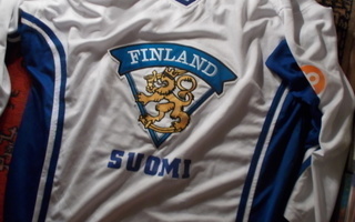 LEIJONAT PELIPAITA