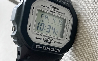 Casio G-Shock DW-5600MW