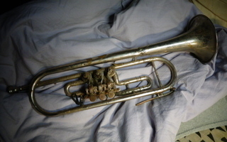 Trumpetti Leningrad vuodelta 1964