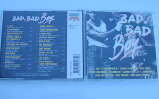 Various • Bad, Bad Boy CD