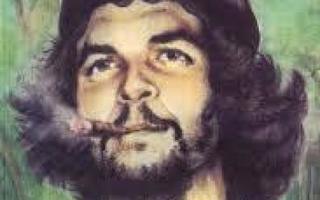 Sergio Sinay - Miguel Angel Scenna: Che Guevara: Vasta-alkav