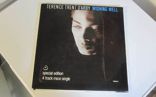 Terence Trent D'Arby 12" 1987 Wishing Well