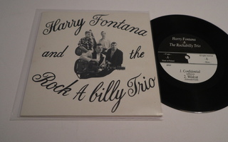Harry Fontana And The Rock A Billy Trio 7"